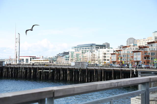 seattle waterfront