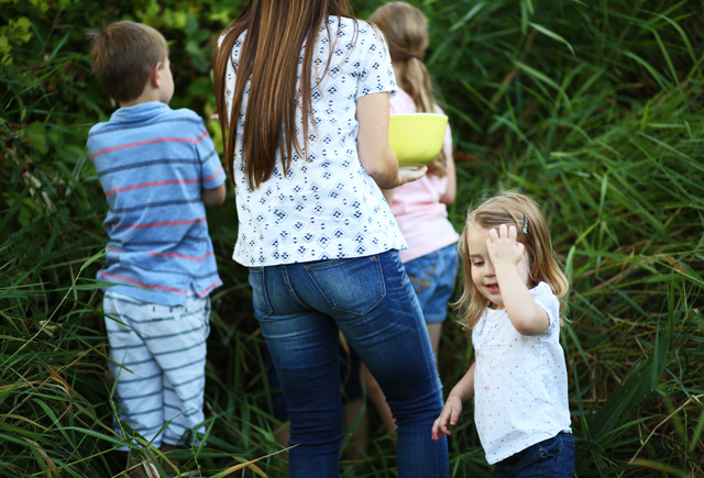 berry picking with kids