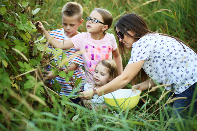 blackberry picking with kids