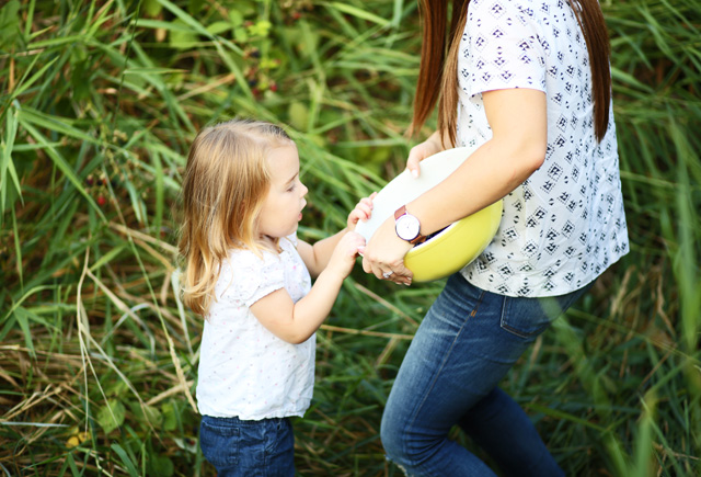 picking blackberries with toddlers