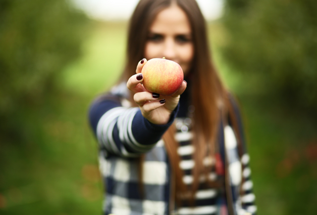 apple picking