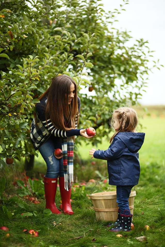 best fall activity apple picking