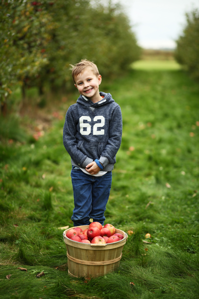 litte boy apple picking in the fall