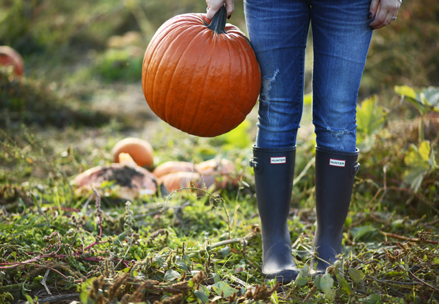 navy hunter boots and a pumpkin patch