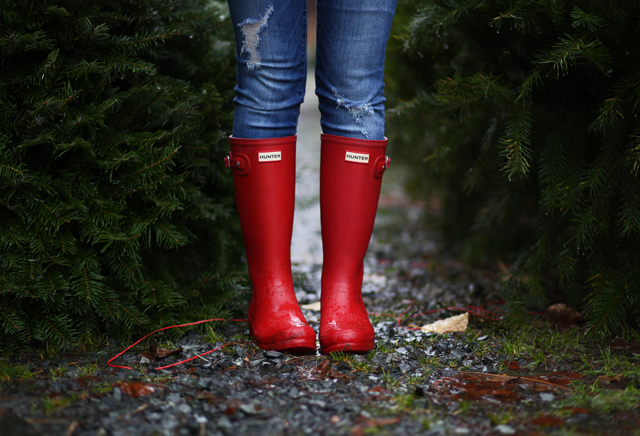 red at the christmas tree lot