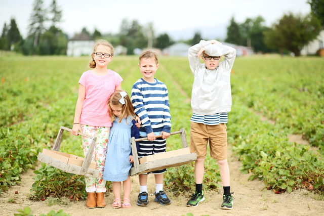 kids picking berries