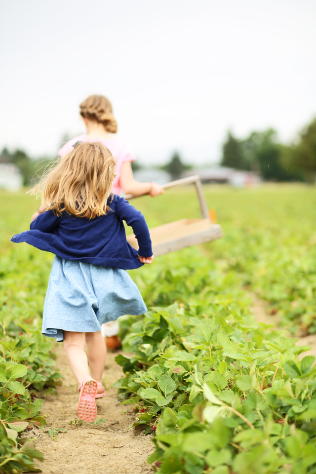 running through strawberries fields