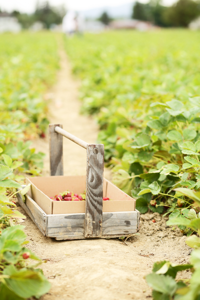 strawberry crate