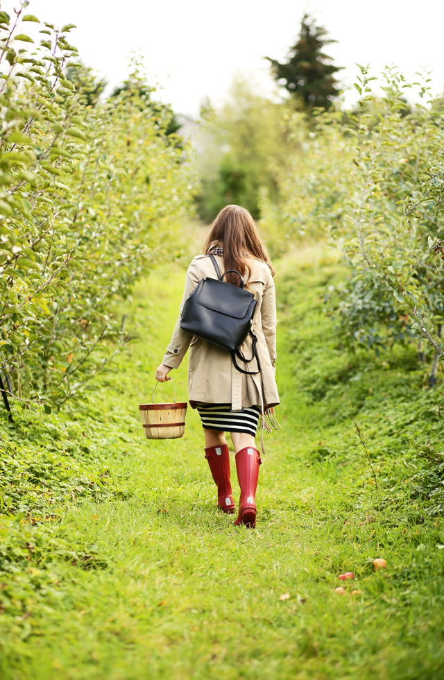 fall-dress-in-apple-orchard