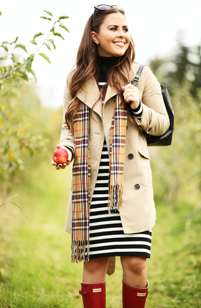 perfect-fall-sweater-dress