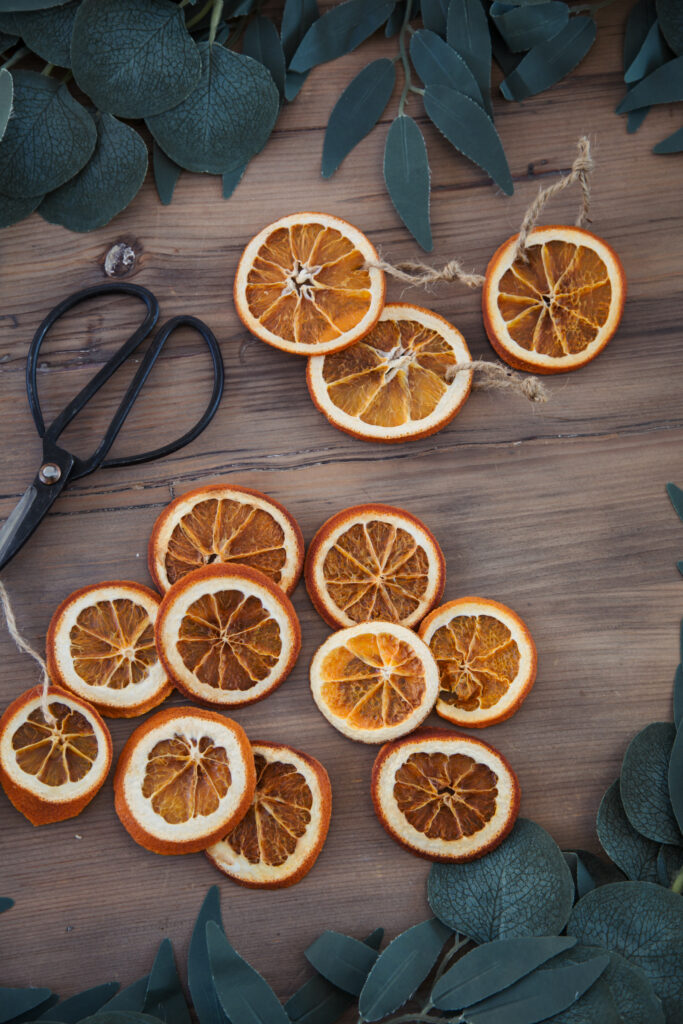 dried orange slices